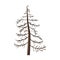 Vector Single Cartoon Brown Bare Pine Tree