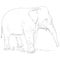 Vector Single Sketch Elephant
