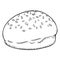 Vector Single Sketch Illustration - Wheat Bun with Sesame Seeds