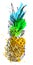 Vector Single Sketch Pineapple