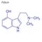 Vector Skeletal formula of Psilocin. Drug chemical molecule