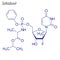 Vector Skeletal formula of Sofosbuvir. Drug chemical molecule