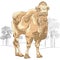 Vector sketch of Bactrian camel in the desert