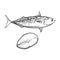 Vector sketch cartoon sea fish tuna isolated