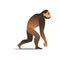 Vector sketch caveman ape-like walking isolated