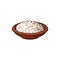 Vector sketch cottage cheese in ceramic brown pot