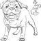 Vector sketch cute dog black pug breed