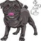 Vector sketch cute dog black pug breed