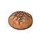 Vector sketch dark brown round bread isolated