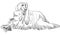 Vector Sketch dog Afghan hound breed lying