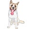 Vector sketch dog Akita breed smiles