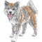 Vector sketch dog Akita Inu Japanese breed smiles