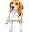 vector Sketch dog Beagle breed sitting