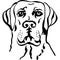 vector Sketch dog breed labrador retrievers