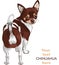 vector Sketch dog Chihuahua breed smiling