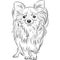 Vector sketch dog Chihuahua breed smiling