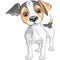 vector Sketch dog Jack Russell Terrier breed