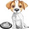 vector Sketch dog Jack Russell Terrier breed