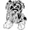 Vector sketch dog Schnauzer breed hand drawing vector