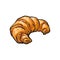 Vector sketch fresh french Croissant isolated