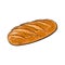 Vector sketch fresh white loaf bread isolated