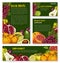 Vector sketch fruit store banners of farm fruits