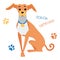 Vector sketch funny Italian Greyhound dog sitting