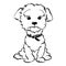 Vector sketch funny maltese dog sitting