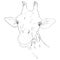 Vector Sketch Giraffe Muzzle