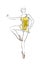 Vector sketch of girls ballerina