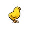 Vector sketch hand drawn yellow chick isolated