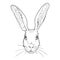 Vector Sketch Hare Head