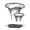 Vector sketch illustration of hedgehog mushroom or sweet