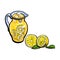 Vector sketch lemonade glass jug sliced lemons set