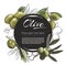 Vector sketch Olive banner on white background. With place for text. Hand drawn sketch fruit graphic design