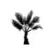 Vector sketch palm tree. Hand drawn silhouette palm tree