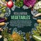 Vector sketch poster of natural farm vegetables