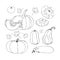 Vector Sketch Pumpkin. Doodle pumpkins. Hand drawn ink illustration