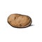 Vector sketch ripe raw unpeeled potato isolated