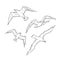 Vector sketch set flying seagulls. Bird gull angler monochrome black outline illustration isolated on white background