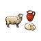 Vector sketch sheep, milk and cheese set isolated