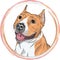 Vector sketch smiling dog American Staffordshire Terrier breed