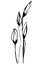 Vector sketch spring flower snowdrop