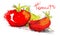 Vector sketch tomato illustration - slice tomatoes and salad