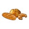 Vector sketch white loaf bread, Croissant set