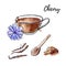 Vector sketchy illustration Chicory. Hand drawn cup with hot beverage, roots and flower, spoon with powder.