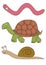 Vector slowly animals