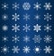 Vector snowflakes