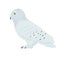 Vector snowy owl