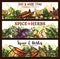 Vector spices and herbs farm store banners